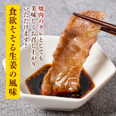 生姜焼きのたれ 2本セット_065-6678
