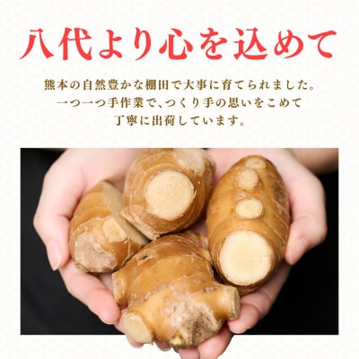 八代生姜80g×10パック 合計800g_065-6722