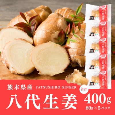 八代生姜80g×5パック 合計400g_065-6723