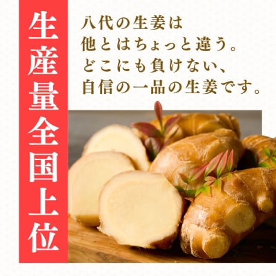 八代生姜80g×5パック 合計400g_065-6723