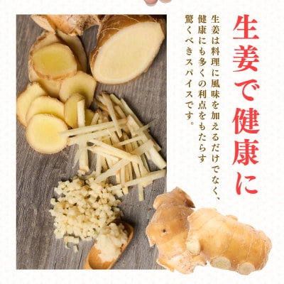 八代生姜80g×5パック 合計400g_065-6723
