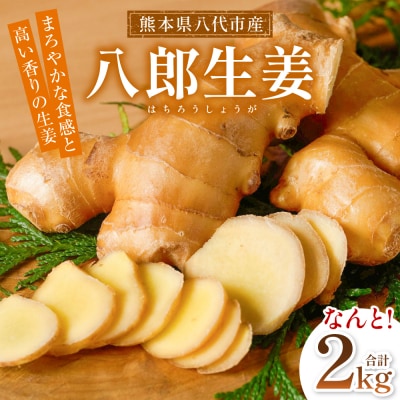 八郎生姜 2kg しょうが ショウガ_065-6725