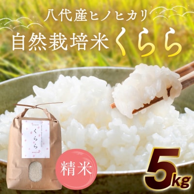 《令和7年産》 自然栽培米 くらら 精米 5kg (八代産ヒノヒカリ)_049-4068-C