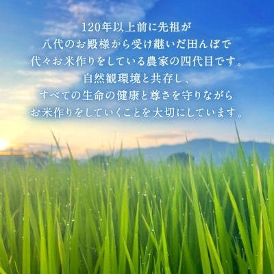 《令和7年産》 自然栽培米 くらら 精米 5kg (八代産ヒノヒカリ)_049-4068-C