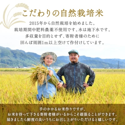 《令和7年産》 自然栽培米 くらら 精米 5kg (八代産ヒノヒカリ)_049-4068-C