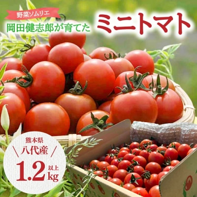 【先行予約】野菜ソムリエ岡田健志郎が育てた ミニトマト 1.2kg_075-6229-B
