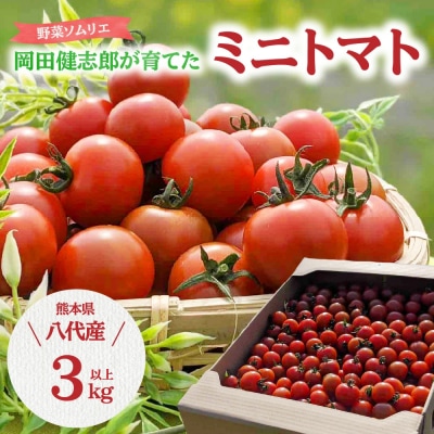 【先行予約】 野菜ソムリエ岡田健志郎が育てた ミニトマト 3kg_075-6231-B