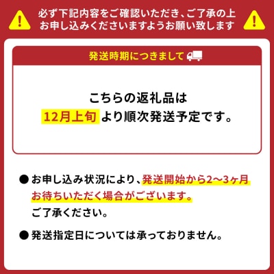 【先行予約】 野菜ソムリエ岡田健志郎が育てた ミニトマト 3kg_075-6231-B