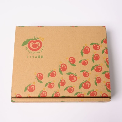 野菜ソムリエ岡田健志郎が育てた ミニトマト 3kg以上 トマト_075-6231-A