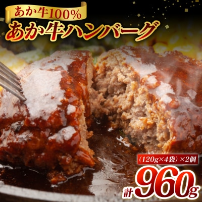 熊本県産 あか牛ハンバーグ 960g (120g×8個)_080-5026-A