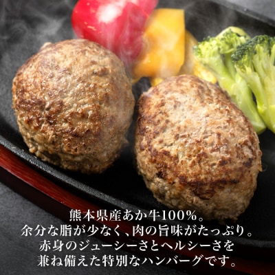 熊本県産 あか牛ハンバーグ 960g (120g×8個)_080-5026-A