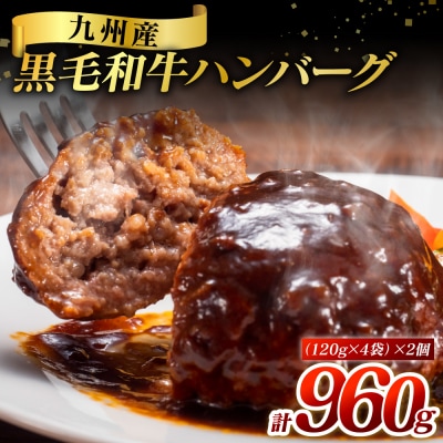 九州産 黒毛和牛ハンバーグ 960g (120g×8個)_080-5027-A