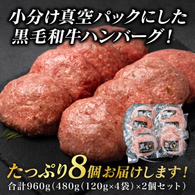 九州産 黒毛和牛ハンバーグ 960g (120g×8個)_080-5027-A