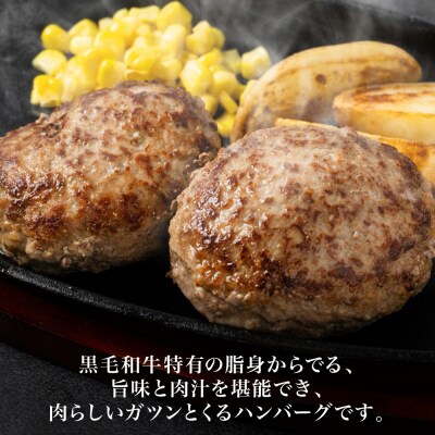 九州産 黒毛和牛ハンバーグ 960g (120g×8個)_080-5027-A