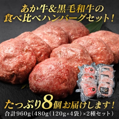 食べ比べハンバーグセット(あか牛ハンバーグ&黒毛和牛ハンバーグ)_080-5028