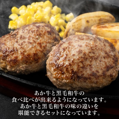 食べ比べハンバーグセット(あか牛ハンバーグ&黒毛和牛ハンバーグ)_080-5028