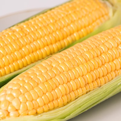 【先行予約】八代産スーパースイートコーン4kg【2026年5月上旬より発送】_083-3196-C