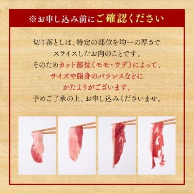 猪肉 切り落とし 400g(モモ・ウデ)_067-1594-A