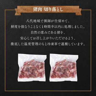 猪肉 切り落とし 800g(モモ・ウデ) 400g × 2パック_067-1595-A
