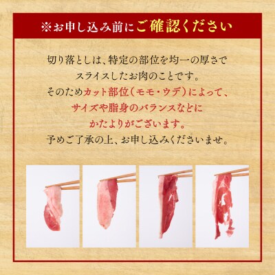 猪肉 切り落とし 800g(モモ・ウデ) 400g × 2パック_067-1595-A