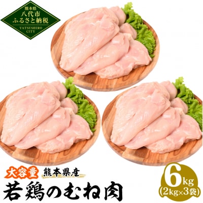 熊本県産 若鶏のむね肉 2kg×3袋 合計6kg 鶏肉_040-5217-A
