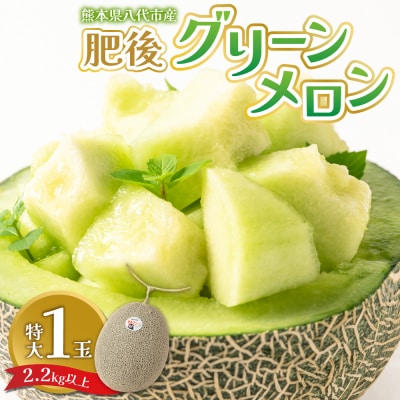 【先行予約】肥後グリーン2.2kg以上1玉 【2026年6月中旬より順次発送】_093-5011-C