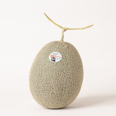 【先行予約】肥後グリーン2.2kg以上1玉 【2026年6月中旬より順次発送】_093-5011-C