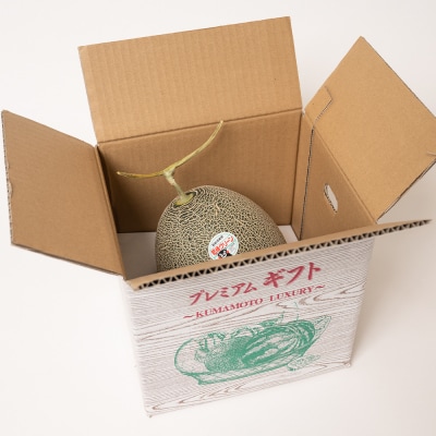 【先行予約】肥後グリーン2.2kg以上1玉 【2026年6月中旬より順次発送】_093-5011-C