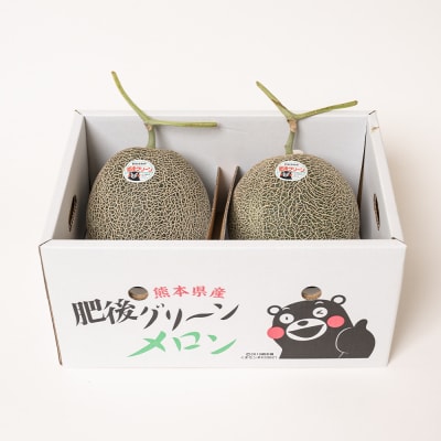 【先行予約】肥後グリーン2玉  【2026年6月中旬より順次発送】_093-5012-C