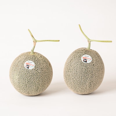 【先行予約】肥後グリーン2玉  【2026年6月中旬より順次発送】_093-5012-C