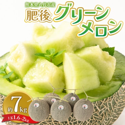 【先行予約】肥後グリーン約7kg【2026年6月中旬より順次発送】_093-5013-B