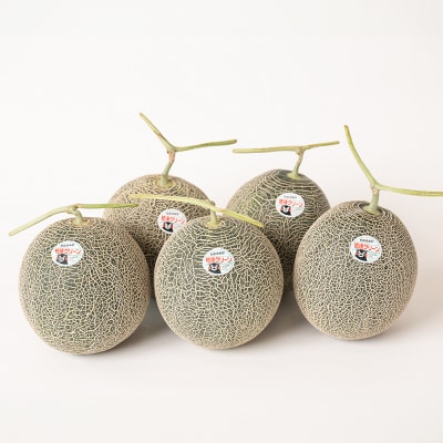 【先行予約】肥後グリーン約7kg【2026年6月中旬より順次発送】_093-5013-B