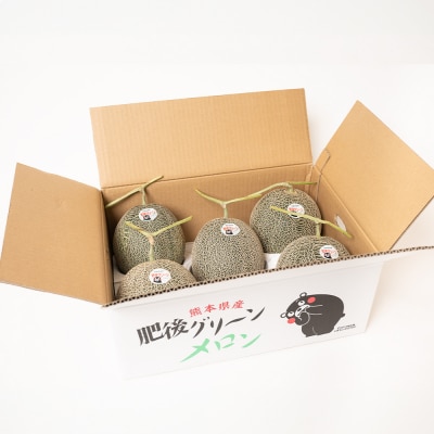 【先行予約】肥後グリーン約7kg【2026年6月中旬より順次発送】_093-5013-B