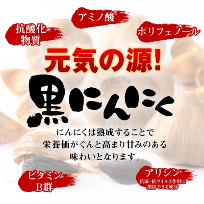 鶴喰黒にんにく(Mサイズ3個x3袋 合計150g以上)_094-3048-C