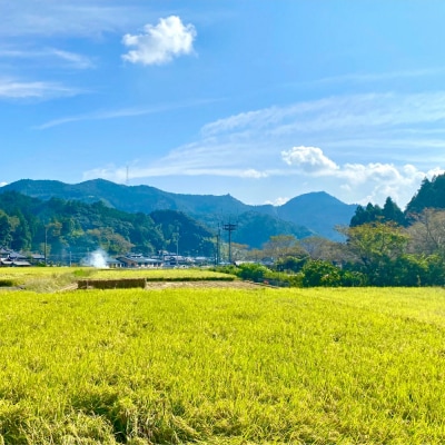 《令和7年産》 鶴喰米 精米300g(2合分) ×2袋 くまさんの輝き_094-6122-A