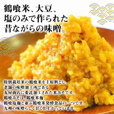 鶴喰みそ 2kg (1kg×2袋 合計2kg) 熊本県 八代市産 つるばみ 味噌_094-6631