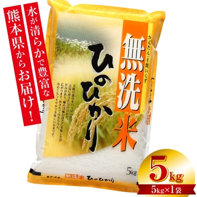 【令和7年産】 熊本県産 無洗米 熊本ひのひかり 5kg (5kg×1袋)_132-5123-B