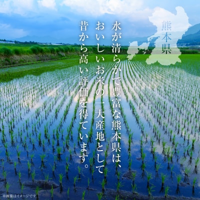 【令和7年産】 熊本県産 無洗米 熊本ひのひかり 5kg (5kg×1袋)_132-5123-B