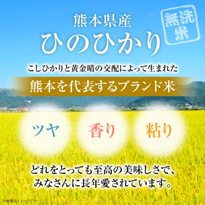 【令和7年産】 熊本県産 無洗米 熊本ひのひかり 10kg (5kg×2袋)_132-5124-C