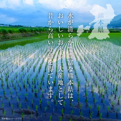 【令和7年産】  熊本県産 くまさんの輝き 10kg (5kg×2袋)_132-5126-G