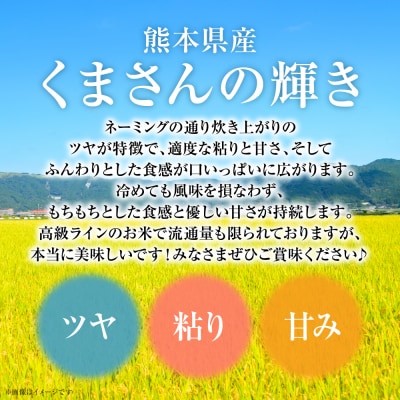 【令和7年産】  熊本県産 くまさんの輝き 10kg (5kg×2袋)_132-5126-G