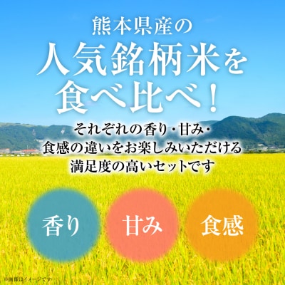 【令和7年産】 熊本県産 食べ比べセット 合計15kg (5kg×3袋)_132-6719