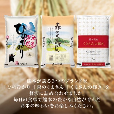 【令和7年産】 熊本県産 食べ比べセット 合計15kg (5kg×3袋)_132-6719