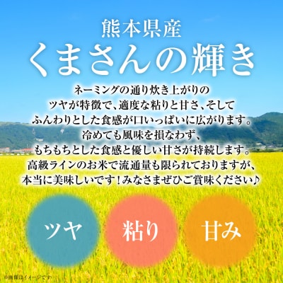 【令和7年産】  熊本県産 くまさんの輝き 5kg (5kg×1袋)_132-6727-A