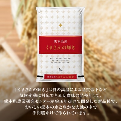 【先行予約】《令和8年産》熊本県産くまさんの輝き5kg (5kg×1袋)_132-6727-B