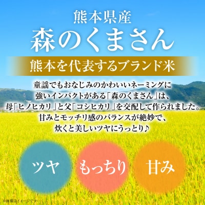 【令和7年産】  熊本県産 森のくまさん 5kg (5kg×1袋)_132-6728