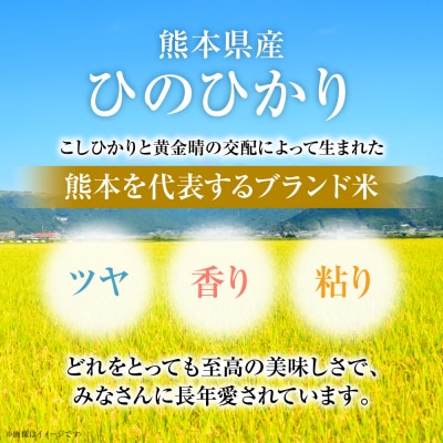 【令和7年産】  熊本県産 くまモンひのひかり 5kg (5kg×1袋)_132-6729