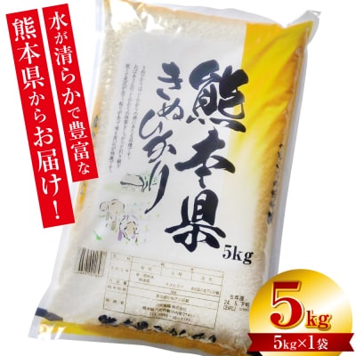【令和7年産】  熊本県産 きぬひかり 5kg(5kg×1袋)_132-6730