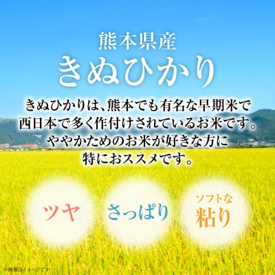 【令和7年産】  熊本県産 きぬひかり 5kg(5kg×1袋)_132-6730