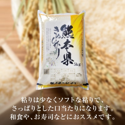 【令和7年産】  熊本県産 きぬひかり 5kg(5kg×1袋)_132-6730